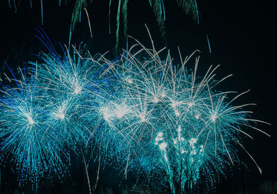 Low angle view of firework display at night