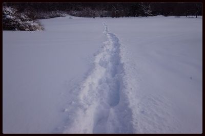 Scenic view of snow covered landscape