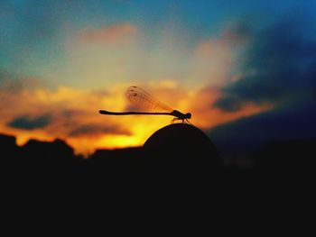 Silhouette of tree against cloudy sky at sunset