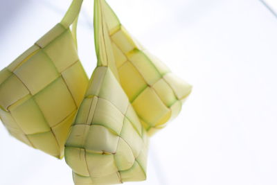 Low angle view of candies against white background