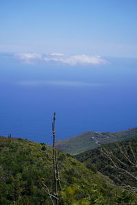 Scenic view of landscape against blue sky