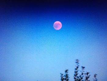 Low angle view of moon against clear blue sky at night