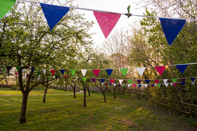 Multi colored flags hanging from tree in park