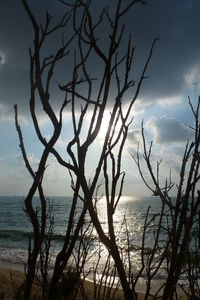 Scenic view of sea at sunset