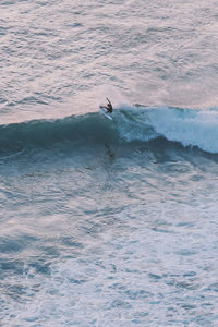 Person surfing in sea