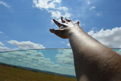 Low angle view of person hand against sky