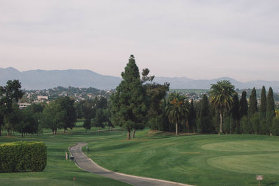 Scenic view of trees on field against sky