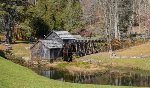 View of bridge over lake in forest