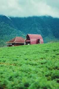 House on grassy field by houses against mountains