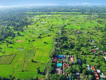 High angle view of agricultural field