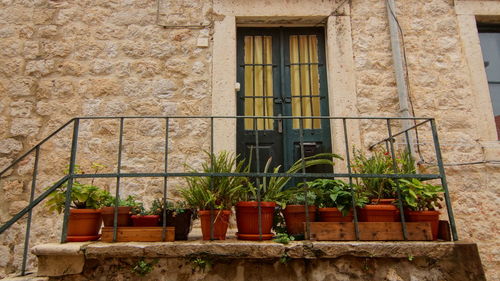 Potted plants on balcony of cottage