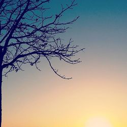 Low angle view of bare trees against clear sky