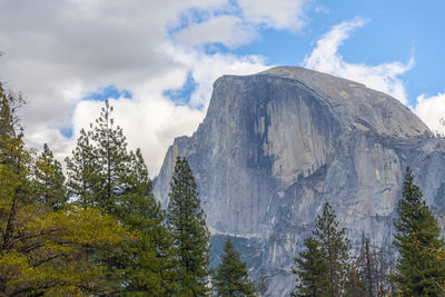 Low angle view of trees on mountain against sky