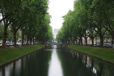 Reflection of trees in water