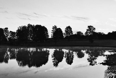 Reflection of trees in calm lake