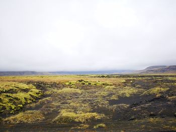 Scenic view of landscape against sky