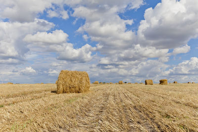 Harvest landscape with straw bales amongst fields in autumn, belarus