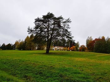 Trees on field against sky