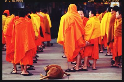 View of large group of monks