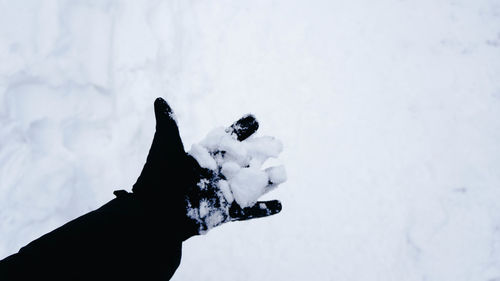 Silhouette person hand on snow field during winter