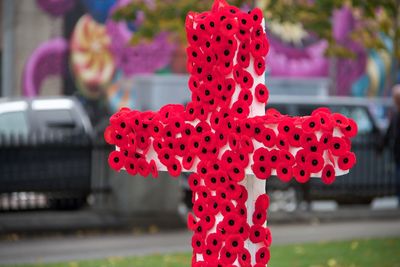 Artificial poppy flowers on cross at cemetery