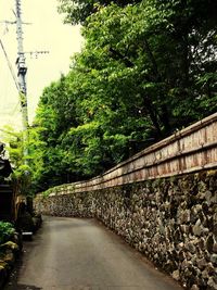 Footpath amidst trees against wall