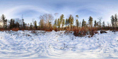 Trees on snow covered field against sky