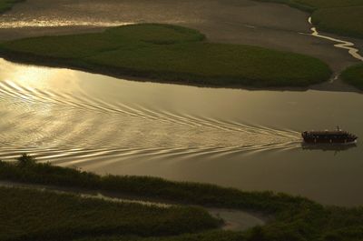 Scenic view of agricultural field