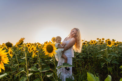 Low angle view of sunflowers on field against clear sky
