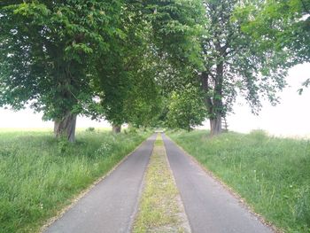 Empty road amidst trees on field