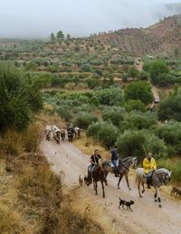 People riding horse on field