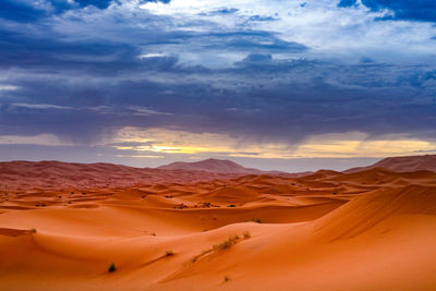 Scenic view of desert against sky during sunset