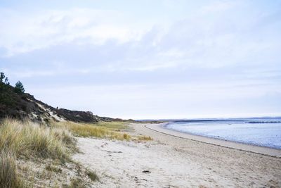 Scenic view of beach against sky