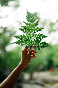 Midsection of woman holding plant