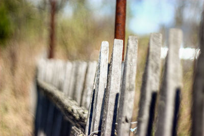 Close-up of wooden plank