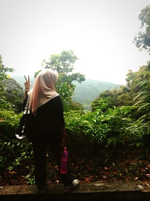 rear view, lifestyles, tree, full length, casual clothing, leisure activity, clear sky, person, standing, men, nature, walking, plant, growth, tranquility, tranquil scene, three quarter length, backpack