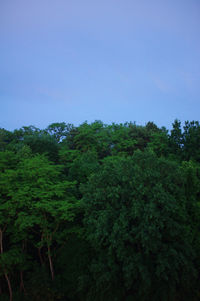 Scenic view of trees against clear sky