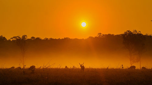 Silhouette trees on field against orange sky