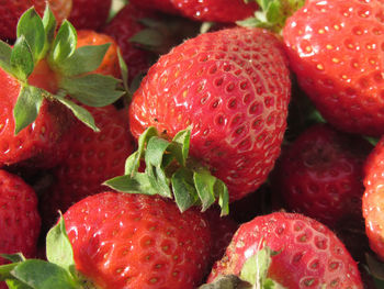 Close-up of strawberries