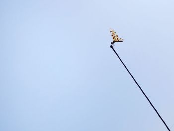 Low angle view of a insect on antenna against clear sky