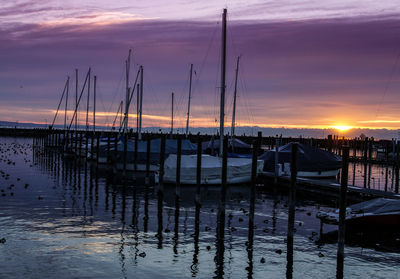 Sailboats in marina at sunset