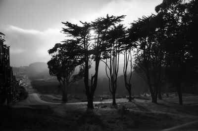 Silhouette trees on field against sky