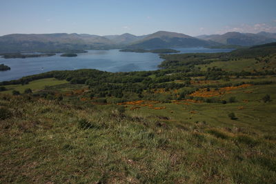 Scenic view of landscape against sky