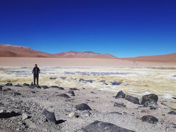 Man standing on shore against clear sky