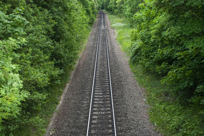 A single railway line running through a forest