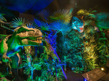 Multi colored illuminated plants in market at night