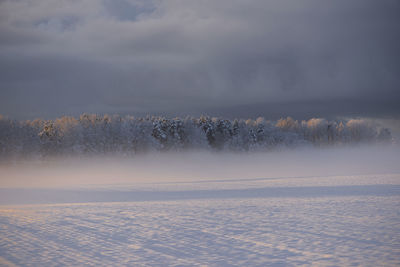 Winter sunrise over country snow covered trees. snowy landscape photo