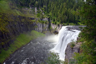 High angle view of water flowing amidst trees in forest