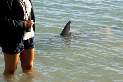 Full length of fish in sea