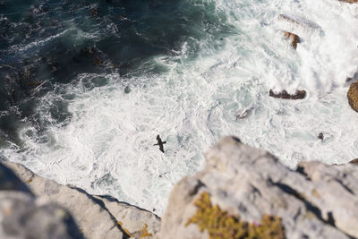 High angle view of water flowing through rocks